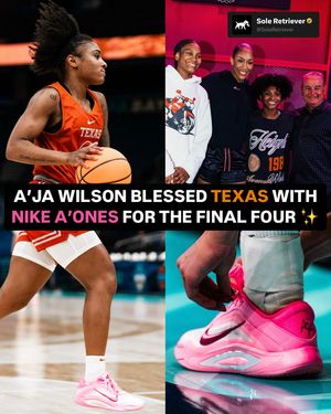 Image post by @soleretriever on Instagram