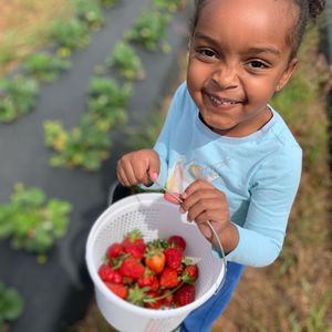 Image post by @southernbellefarm on Instagram
