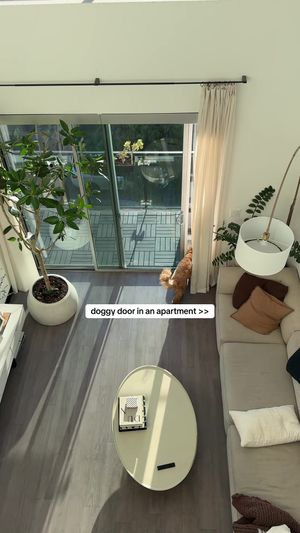 Video post by @tedflixnchill on TikTok