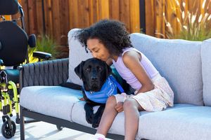 Image post by @canineorg on Instagram
