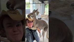 Video post by @johnlferguson on YouTube