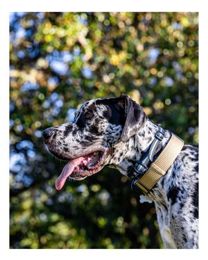 Image post by @_ajf00 on Instagram