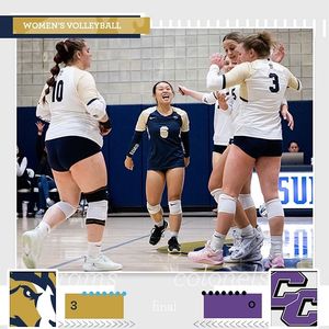 Image post by @gosuffolkrams on Instagram