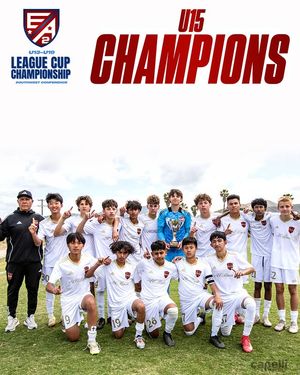 Image post by @eliteacademyleague on Instagram