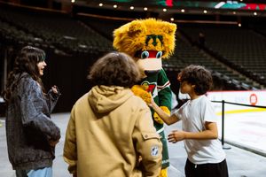 Image post by @NordyWild on Twitter