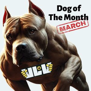 Image post by @jaredv68 on Instagram