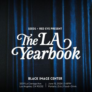 Image post by @thelayearbook on Instagram