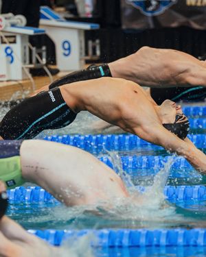 Image post by @fsuswimdive on Instagram