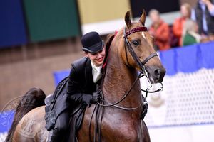 Image post by @UphaAmericanRoyalNationalChampionshipHorseShow on Facebook
