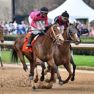 Image post by @breederscup on Instagram