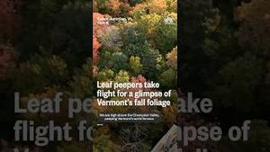 Video post by @nbcnews on YouTube