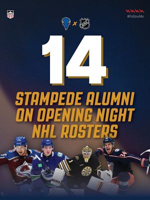 Image post by @sfstampede on Instagram