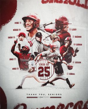 Image post by @gamecockbaseball on Instagram