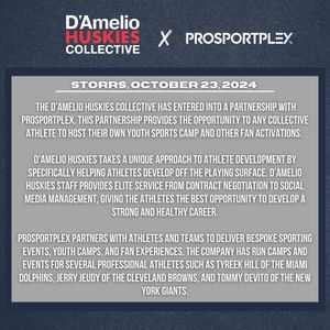 Image post by @dameliohuskies on Instagram