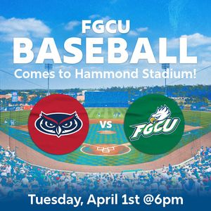Image post by @fgcu_baseball on Instagram