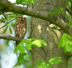 Image post by @rspb on Instagram