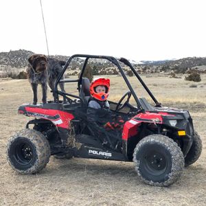 Image post by @PolarisORV on Twitter