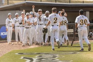 Image post by @gopetrelsbsb on Instagram