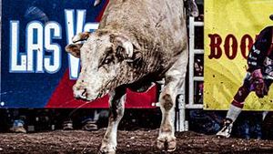Video post by @pbr on YouTube