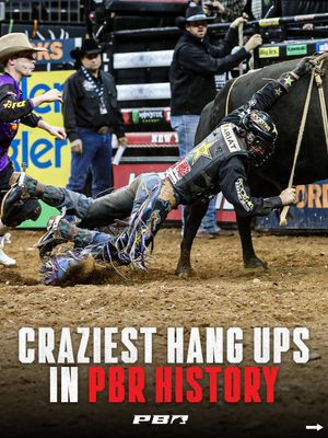 Image post by @pbr on Instagram