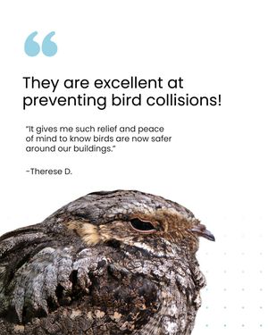 Image post by @featherfriendly on Instagram