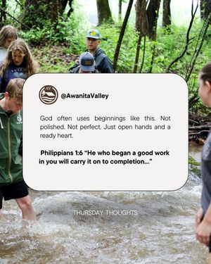 Image post by @awanitavalley on Instagram