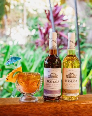 Image post by @koloarum on Instagram