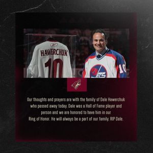 Image post by @arizonacoyotes on Instagram