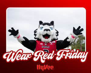 Image post by @niuhuskies on Instagram