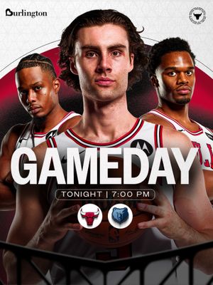 Image post by @chicagobulls on Instagram