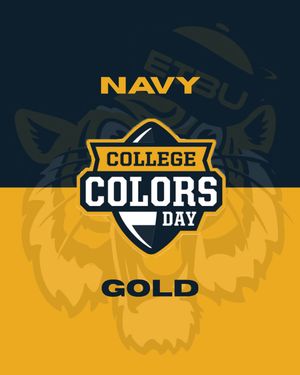 Image post by @goetbutigers on Instagram