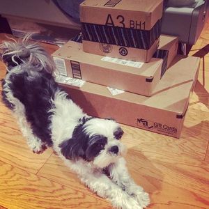 Image post by @amazon on Instagram
