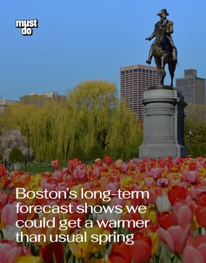 Image post by @mustdoboston on Instagram
