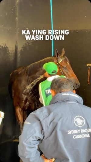 Image post by @worldhorseracing on Instagram