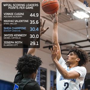 Image post by @canevin_bb on Instagram