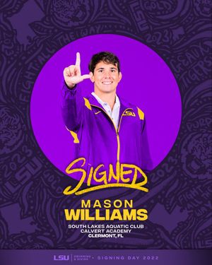 Image post by @lsuswimdive on Instagram
