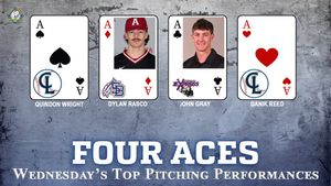 Image post by @VBLBaseball on Twitter