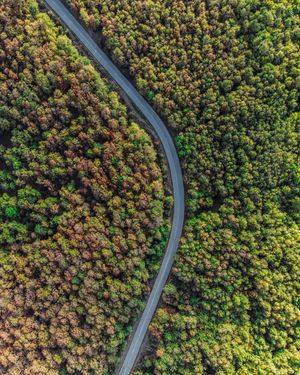 Image post by @khoubaib.bz on Instagram