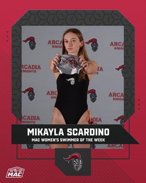 Image post by @arcadia_knights on Instagram