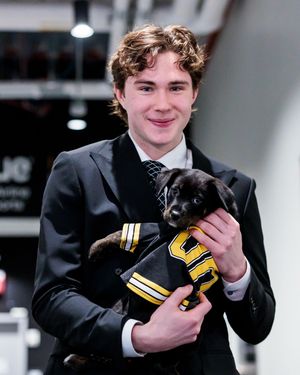 Image post by @nhlbruins on Instagram