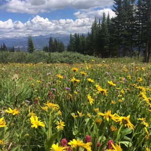 Image post by @breckenridgemtn on Instagram