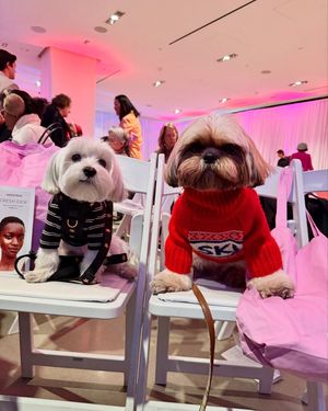 Image post by @nordstrombeauty on Instagram