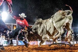 Image post by @pbrbrazil on Instagram