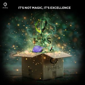 Image post by @pimsnewyork on Instagram