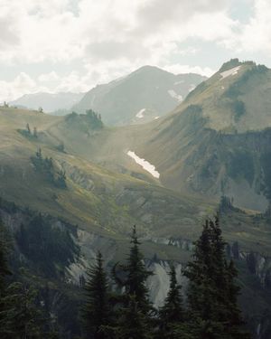 Image post by @lostfoxcreative on Instagram