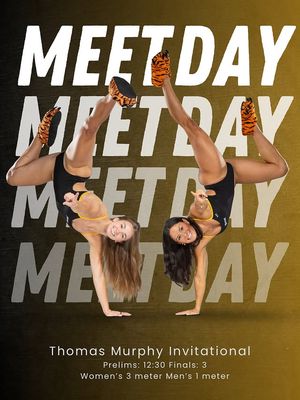 Image post by @towson_diving on Instagram