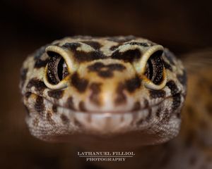 Image post by @Lathanuel Filliol Photography on Facebook