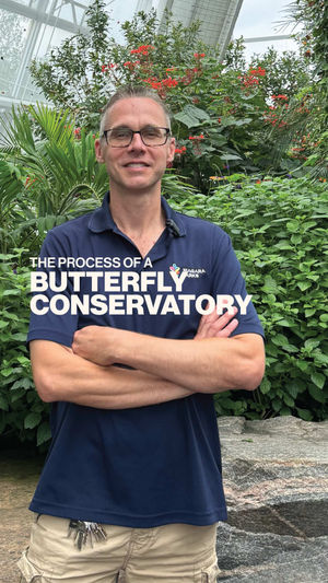 Video post by @whatsyourprocess on TikTok