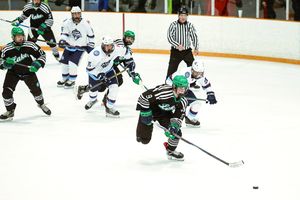 Image post by @susanadamsphotography on Instagram