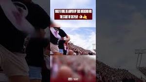 Video post by @1801 Media on YouTube